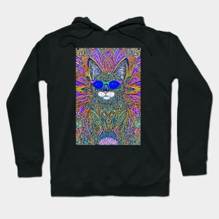 Cosmos Cat Wearing Sunglasses- Aurora! Hoodie